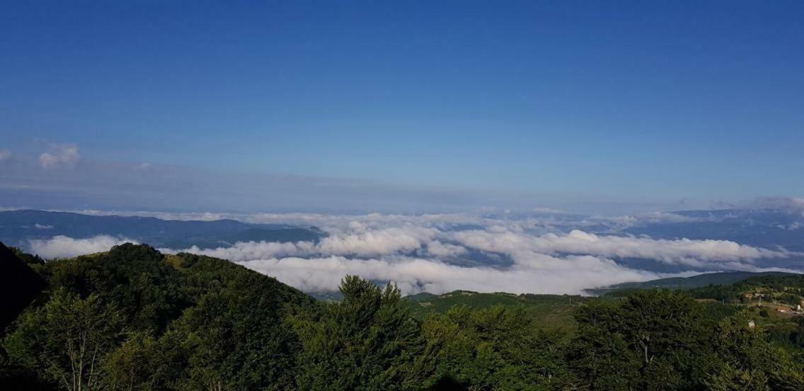 Goma Kop Apartmani Kopaonik Eksteriør bilde